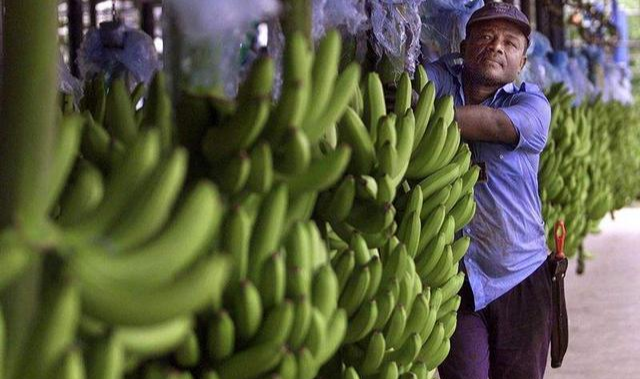 為感謝中國購買4千萬香蕉，直接反饋350億大單，這次中國沒有錯付-圖1
