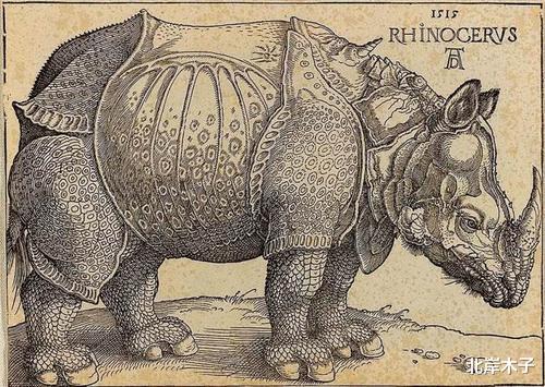 丟勒畫瞭一幅“漏洞百出”的《犀牛》，卻讓歐洲人300年深信不疑-圖1