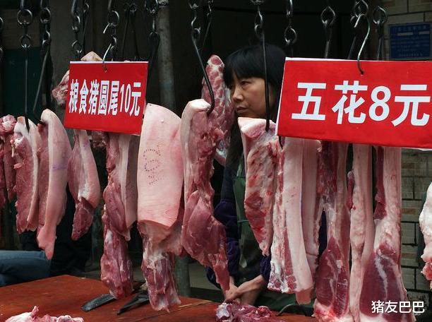 豬價“築底反彈”，肉價依舊高企，豬肉咋就降不下價呢？答案來瞭-圖1