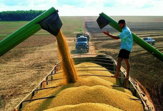 進口的大豆價格持續增漲，中國卻仍堅持購買，美國有“苦”說不出-圖1