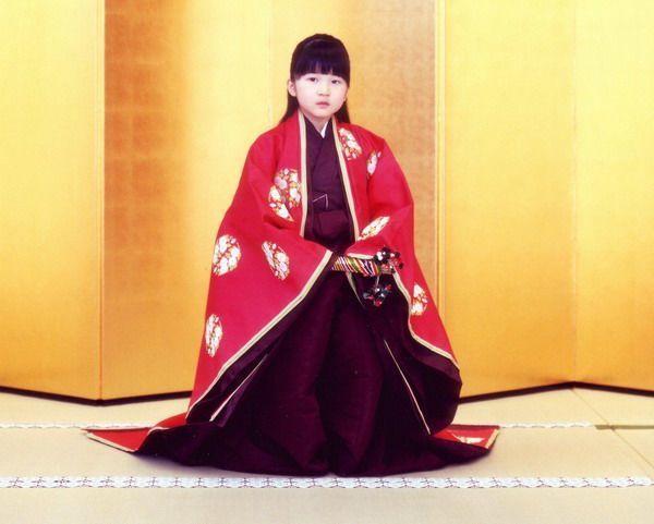 日本防相：天皇繼承面臨極高風險，應討論女性天皇可能性-圖1