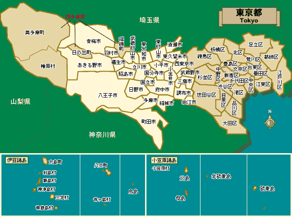 最遙遠的東京——日本唯一的海外屬地小笠原群島是什麼樣的？-圖1