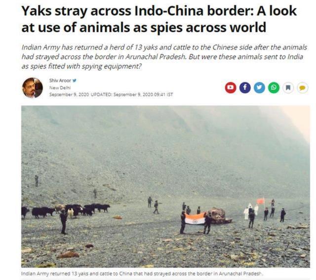 印媒提醒中國什麼？17頭犛牛歸還中國後，一不尋常舉動惹人深思-圖1