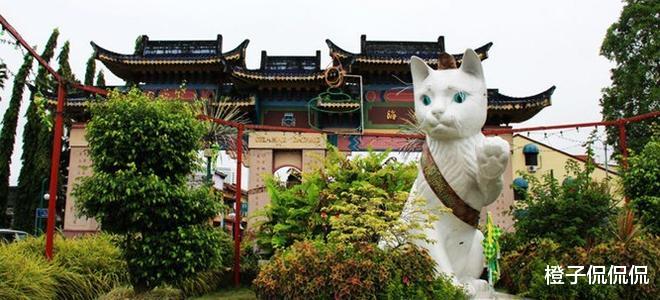 馬來西亞古晉 閩客風情濃鬱 貓咪可愛-圖1