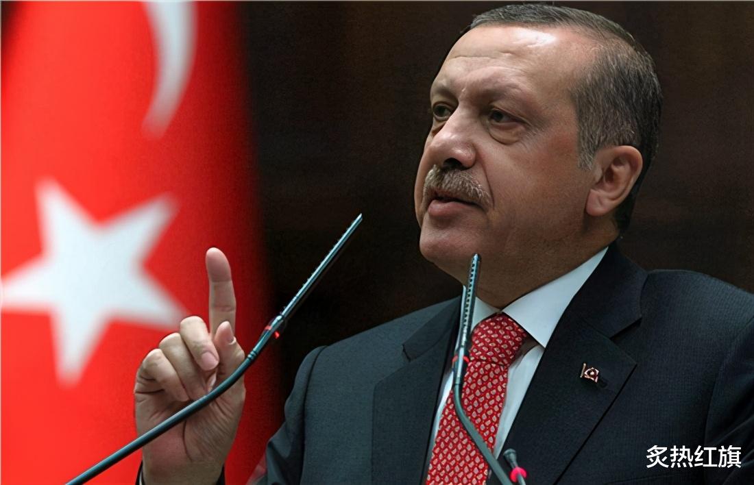 土耳其也想重組安理會，埃爾多安還建議：把聯合國搬到伊斯坦佈爾-圖1