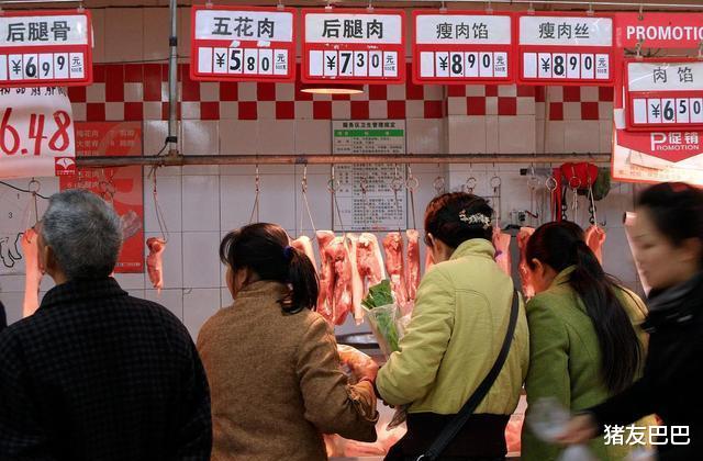 10月4日豬價：多面夾擊下，豬價大范圍飄綠，豬肉降價預計……-圖1