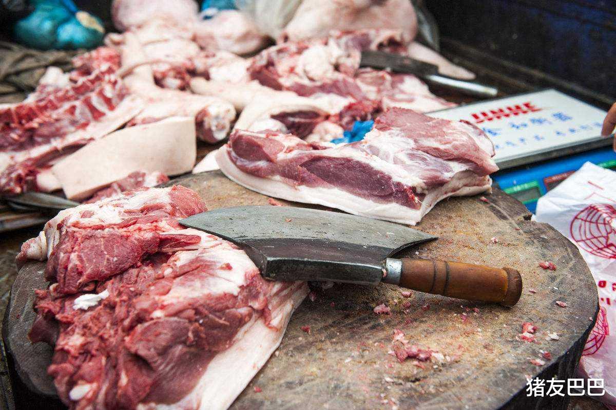 毛豬、豬肉降價迎“實錘”，10月底，豬肉價預計要跌至……-圖1