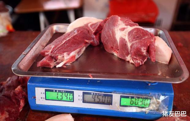 生豬價跌至30.65元/公斤，豬肉價要“松動”，大口吃肉要來瞭！-圖1