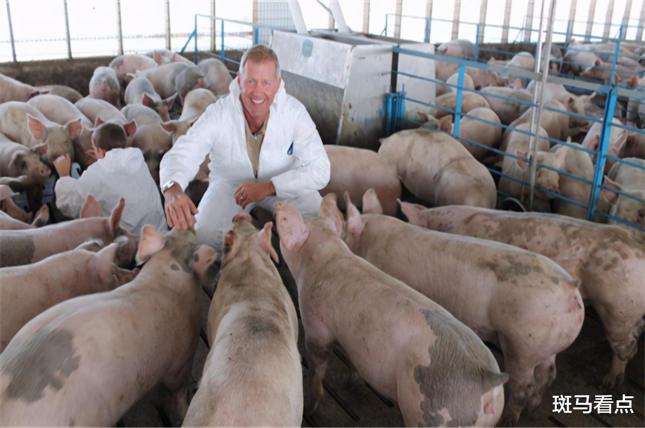 66萬噸，美豬肉對華出口量漲370%！中方宣佈“重要決定”-圖1