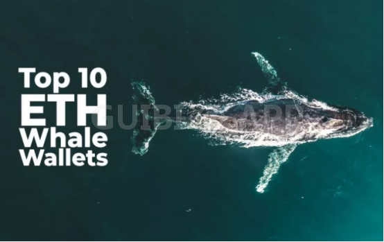 十大以太坊巨鯨賬戶強烈看漲ETH，從交易所提取兩成以上長期持有-圖1