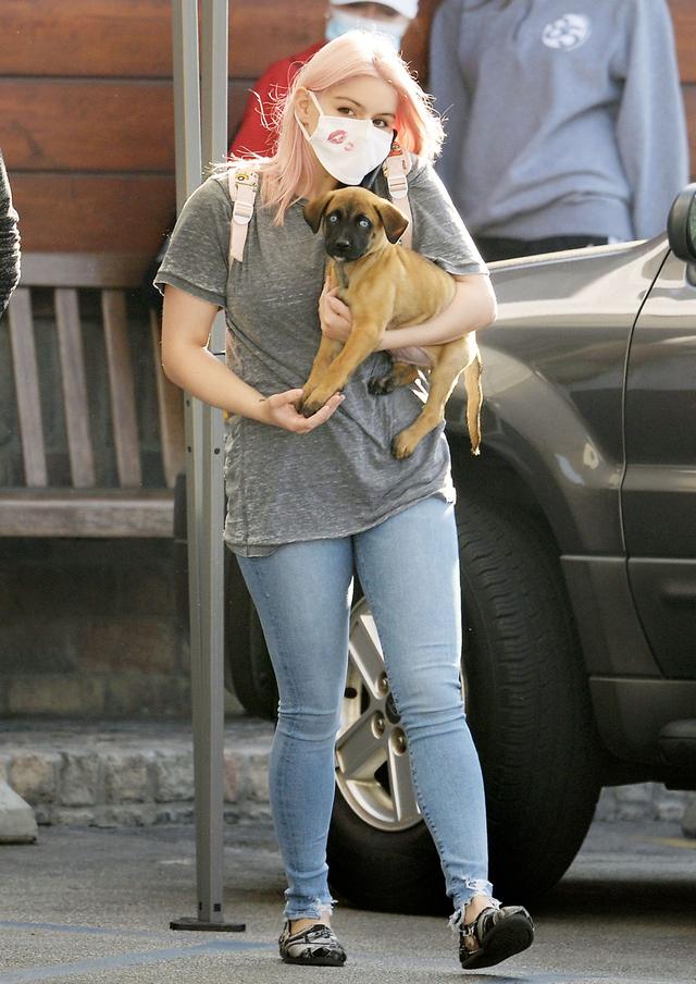女星阿芮爾·溫特現身洛杉磯街頭，她抱的小狗很可愛-圖1