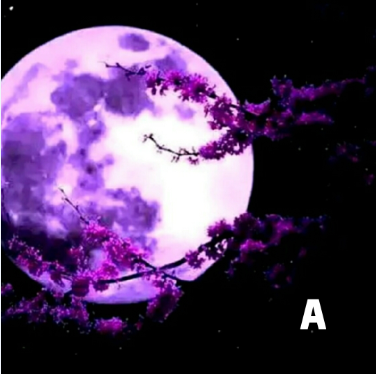 心理學：你最喜歡哪種月亮，測出誰在夜裡深深地想念你-圖1