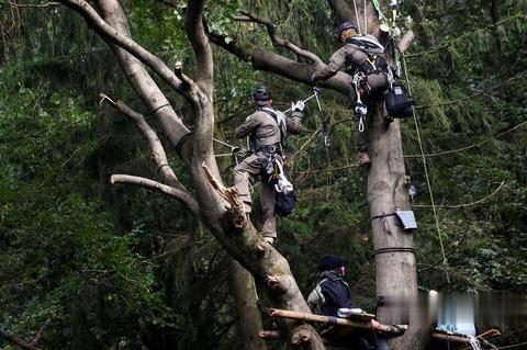 德國環保人士抗議森林裡建高速 警察爬樹上抓人-圖1