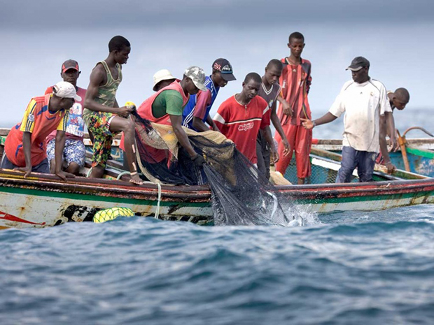 塞內加爾上百名漁民出現不明原因皮膚感染-圖1