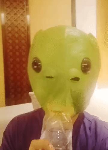 知名藝人楊紫的新迷惑行為，戴綠色魚頭面具喝水，8G沖浪的小猴子-圖1