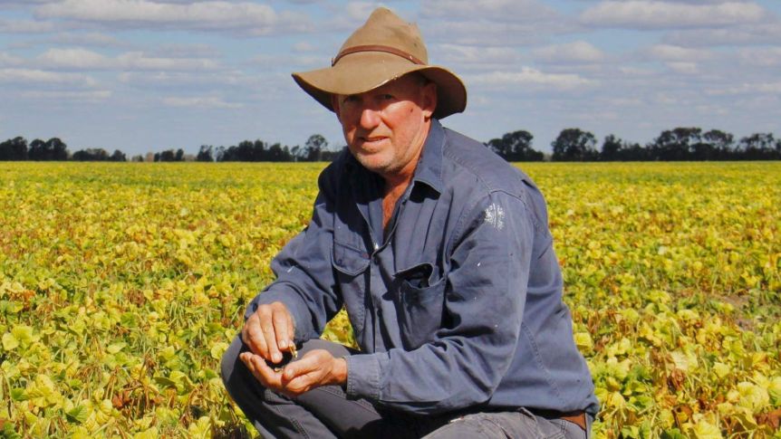 澳洲農業訂單被美法等國
