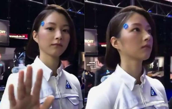 美國專傢：日本“女性機器人”10萬元一個，體驗過後飛一樣的感覺-圖1