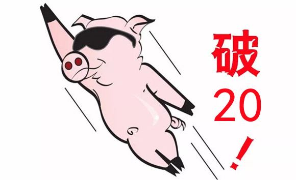 1月3日：火力全開，浙瓊豬價“破20”，養豬人高興得合不攏嘴-圖1
