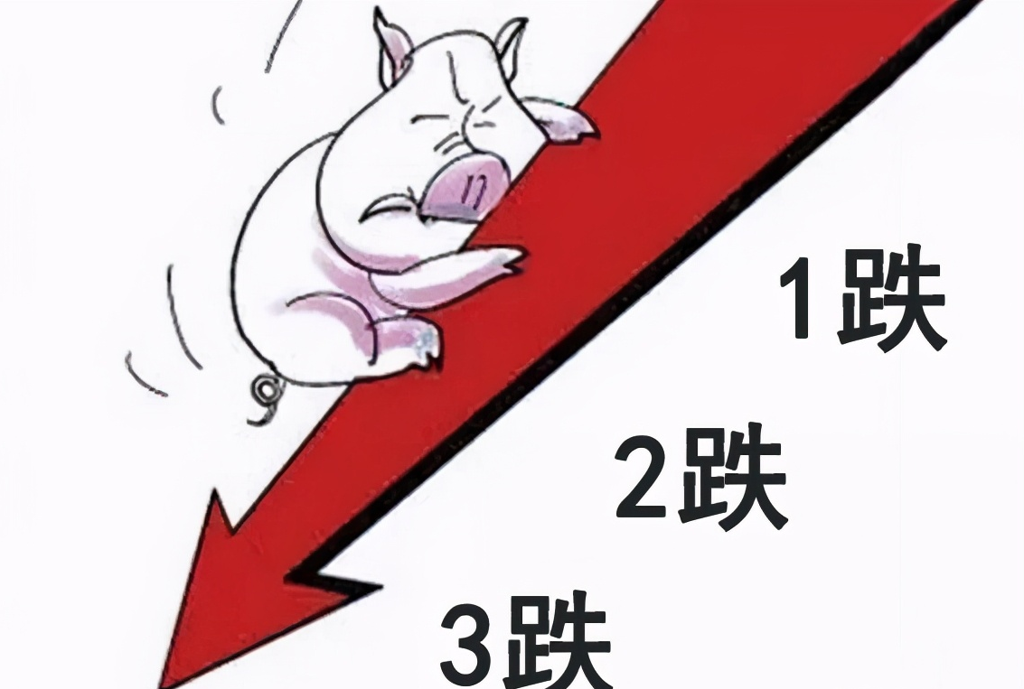 2月21日：豬價一蹶不振，11省市進入13時代，真後悔壓欄瞭-圖1