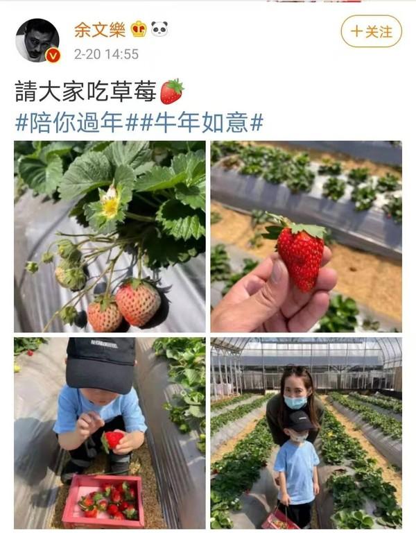 餘文樂老婆帶兒子采摘草莓，畫面溫馨，身價過億為養傢賣豪車-圖1