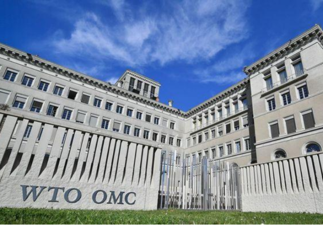WTO面臨危機，全是中國的問題？歐盟不敢得罪美國開始“甩鍋”-圖1