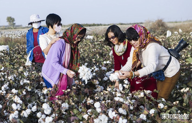新疆棉遭抵制，我國90％采棉機市場也被美國壟斷-圖1