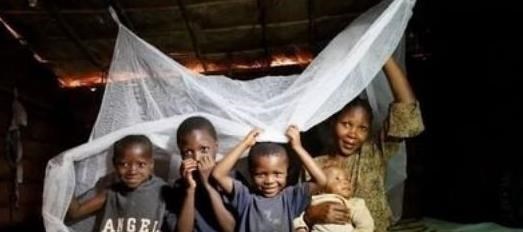非洲引進“中國蚊帳”，本以為會大有用處，沒想到差點釀成悲劇-圖1
