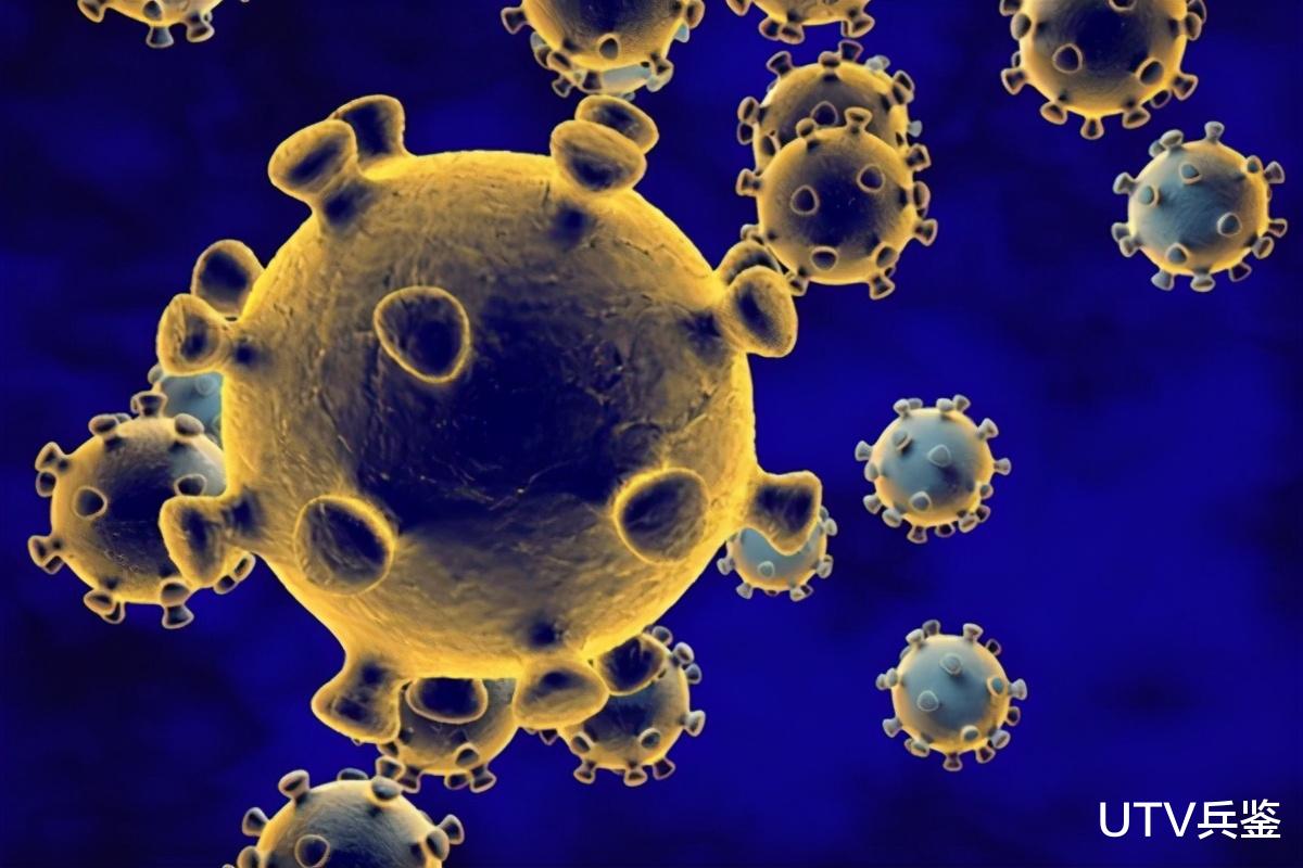 歐洲傳出壞消息，丹麥又發現瞭變異病毒，能導致“自然免疫”失效-圖1