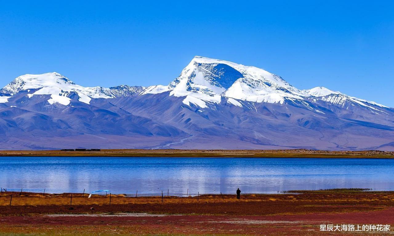 印度學者警告：青藏高原正在釋放有毒物質，毒水將流入印度-圖1