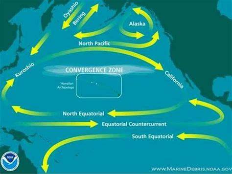 福島核廢水或入海 會流向哪裡-圖1