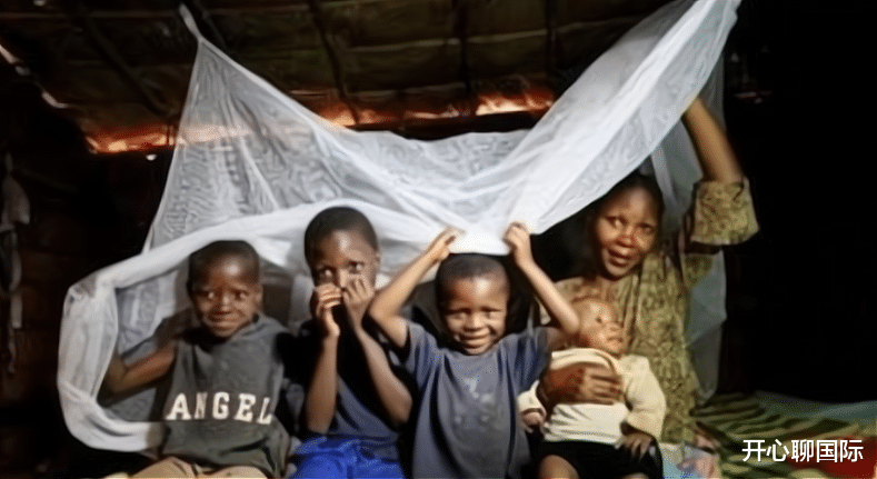 非洲引進中國“蚊帳”，本以為用處極大，不料差點釀成大錯-圖1