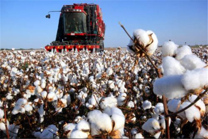 打臉歐盟瞭？“碰瓷”棉花和番茄後，美國自新疆進口大增113％-圖1