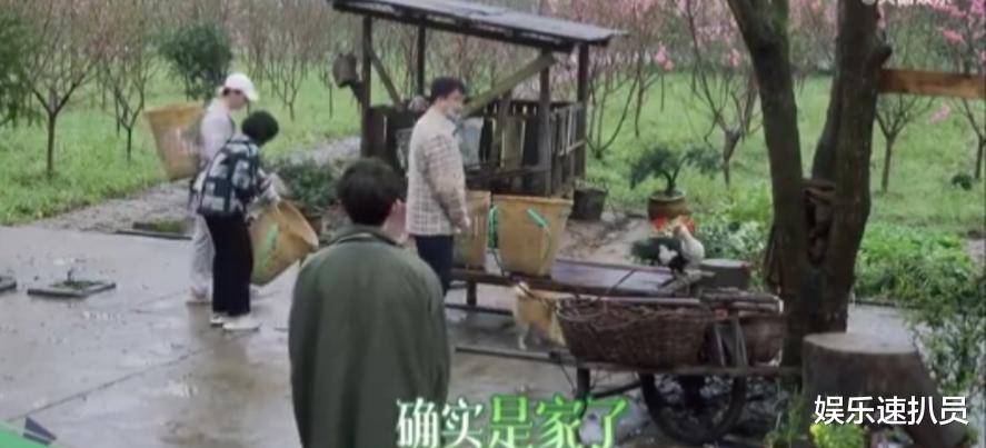 楊紫做客蘑菇屋，雨天和張藝興開三輪摩托兜風，網友表示有那味瞭-圖1