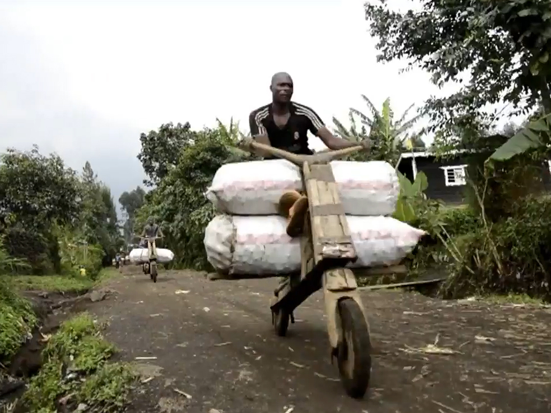 非洲人的“木牛流馬”，可以運輸400公斤貨物，在當地很流行-圖1