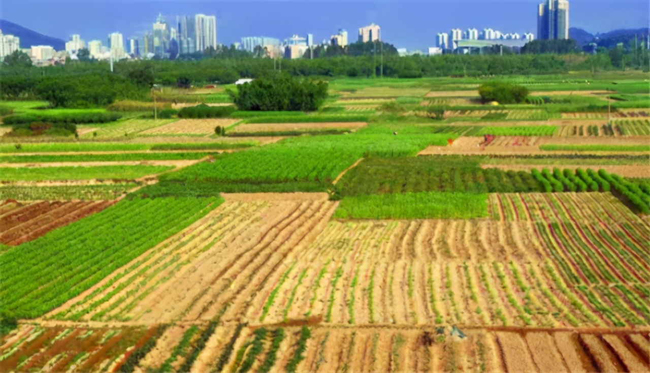 溫鐵軍：中國不能實行農村土地私有化，去印度看看再說話-圖1