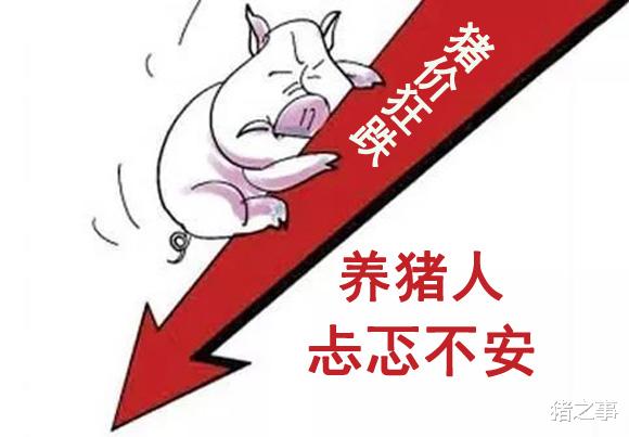 6月1日：糗大瞭，豬價“反彈”不力，再度呈現滑坡式下跌-圖1