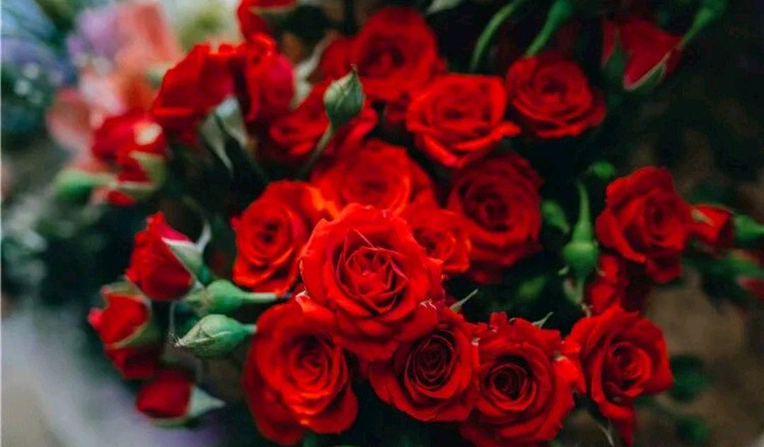 心理學：你最喜歡哪種玫瑰花？測你是有人寵愛的小朋友嗎？-圖1