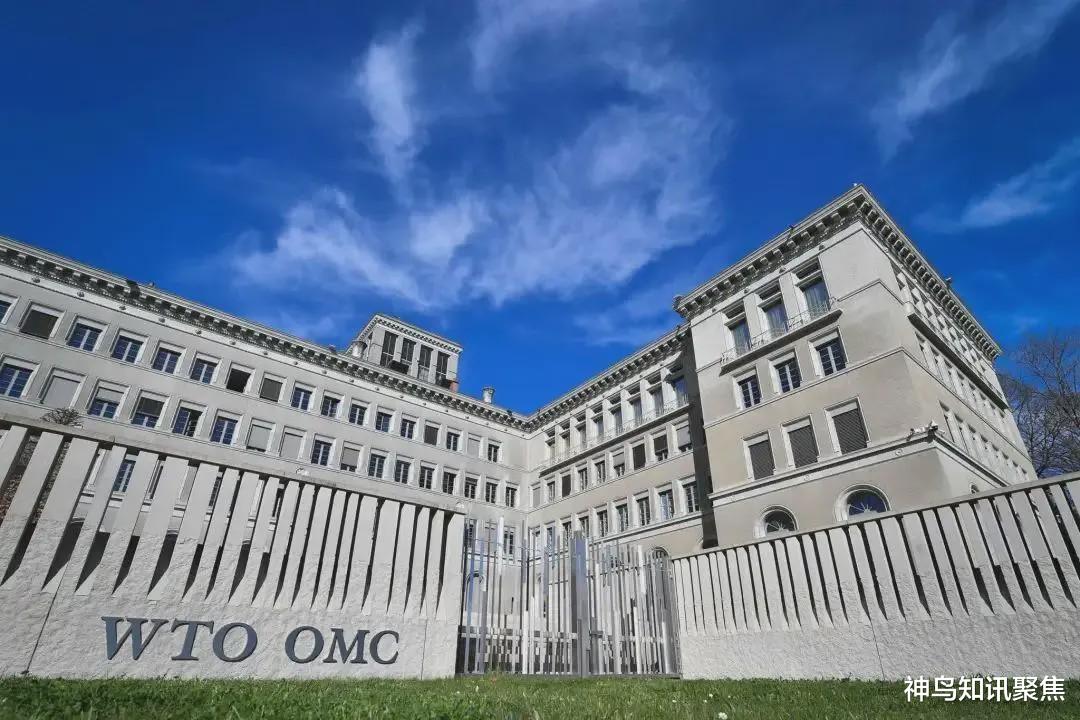 澳大利亞一紙訴狀，將中國告上WTO法庭，新西蘭：誰也不幫-圖1