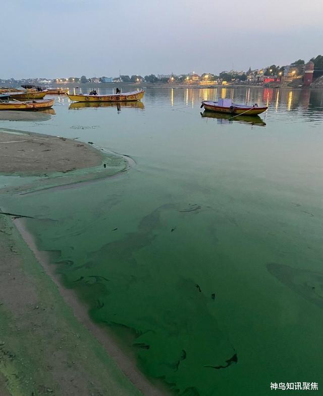 恒河水突然變綠，印度人民恐慌：不能喝，也不能洗澡瞭-圖1
