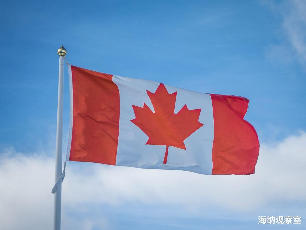 “徹查加拿大”響徹國際，又一樁鐵證被公開，中國說的果然沒錯！-圖1