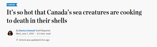 加拿大持續高溫，連貝殼都被煮熟，網友：帶上蒜蓉就是一頓自助餐-圖1