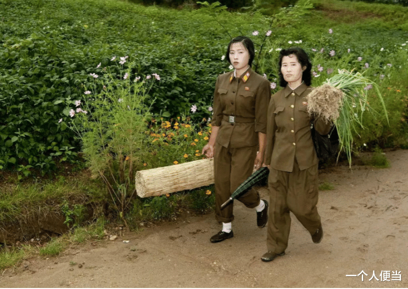 朝鮮農村，為什麼很多女生，很少男生？不怕出事嗎？-圖1