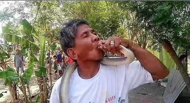 話不能說太滿！菲律賓一專傢自稱對毒液免疫，試圖親吻蛇時被咬死-圖1