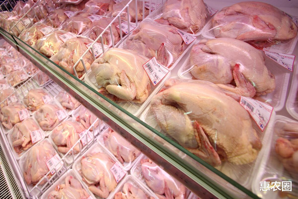 雞肉跌20%，羊肉2月跌14元，魚價也跟跌，養殖業發生瞭啥？-圖1