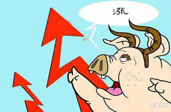 8月10日：牛氣，“二師兄”繼續飆，77%的省市豬價再度飄紅-圖1