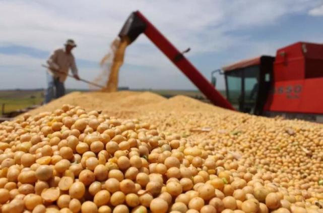 美威脅發起301調查後，中國取消13萬噸美國大豆訂單，理由很直接-圖1