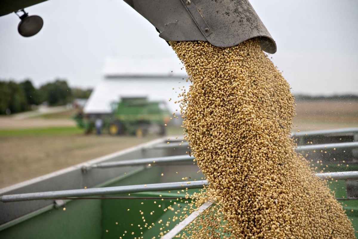 美威脅發起301調查之際，中國取消13萬噸美國大豆訂單，理由讓美無法反駁-圖1