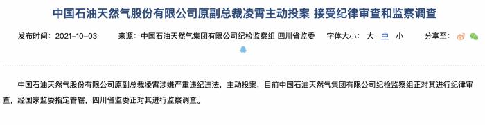 中國石油原副總裁凌霄主動投案，一個月前稱因個人原因辭去職務-圖1