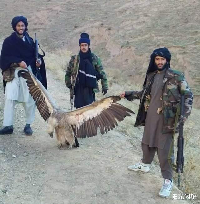 塔利班捕殺珍稀野生動物，或重演巴米揚大佛被毀的悲劇-圖1